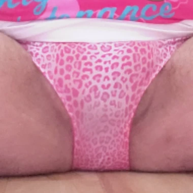 PiggyDana