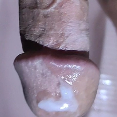 Mohchol05