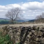 YorkshireBiSkin
