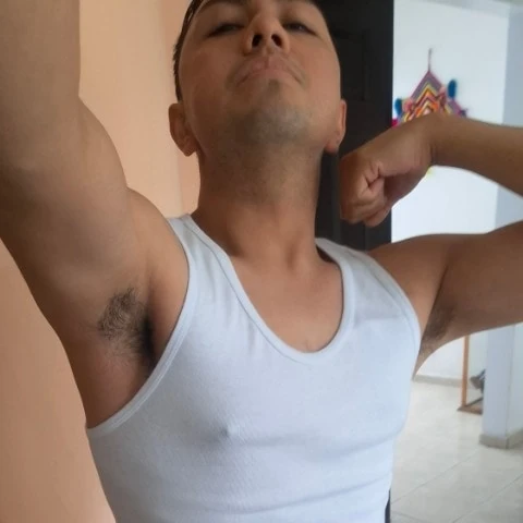 aledemir