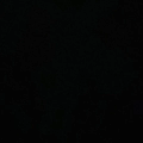 ElectedEuphory4
