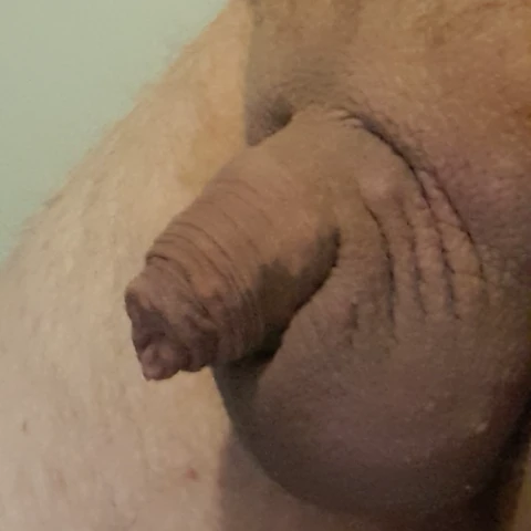 sniffel
