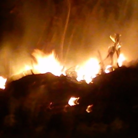 morelosmex
