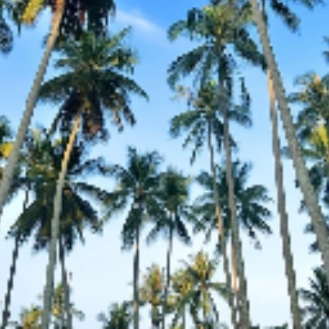 kemukulu
