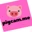 pigcam