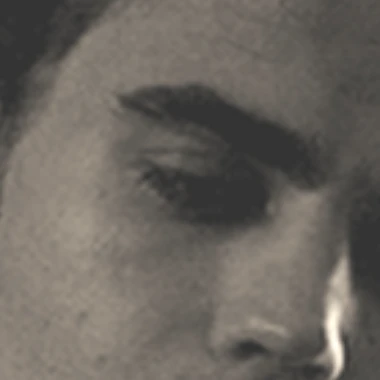 harrynet