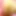 lcup_hugetits