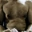 Donovan_69
