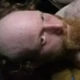 Dailydarksidek