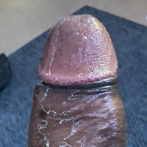 Guy376