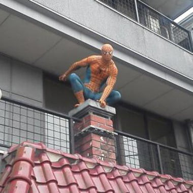 nginger