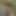 flipcgn