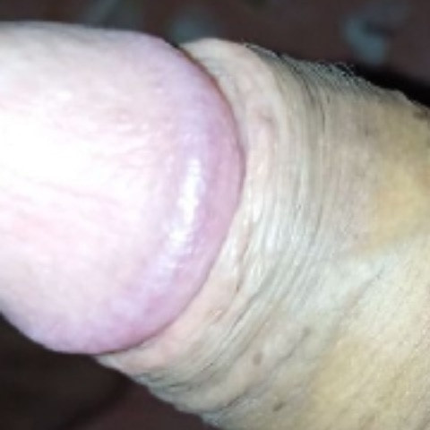 Elh2279