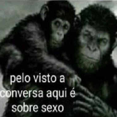 andremolhado
