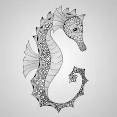 seahorse4