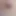 mostlywet69