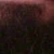 chasergab77