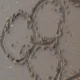 sisilove88