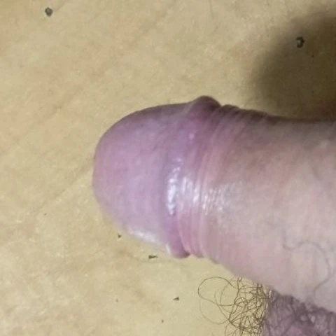 bloewcro8