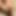 bearchaser888