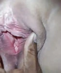 2thapoint