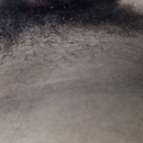 lopezerix1
