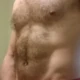 adams33