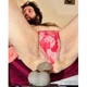Sissypantiebear