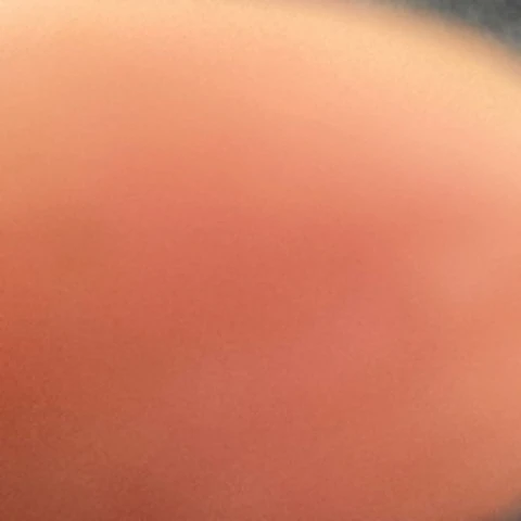 Plammi12