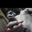 tkmdick232