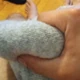 SEXWOOLWOMEN