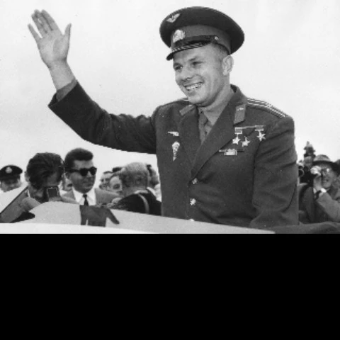 26021973190182shvetc