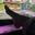 Lana_Anal69