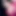 Yoni_BlueCatFish