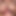 shesBoobs