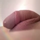jockers_cock