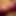 PunjabiSpice121