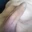 Hotdi1231