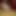 nikkitrans55