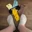 sockluvr90