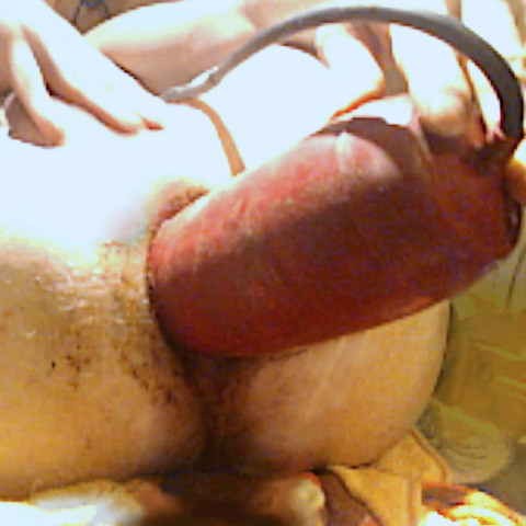 pooHoleLoVeR78