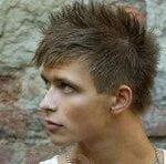 heisser_hengst