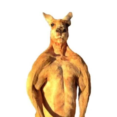 Lhrkangaroo
