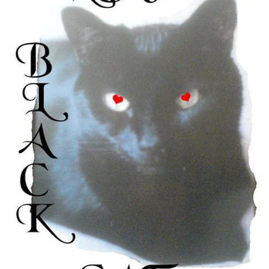 LOVEBLACKCAT2