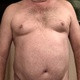 Jimswallows2012