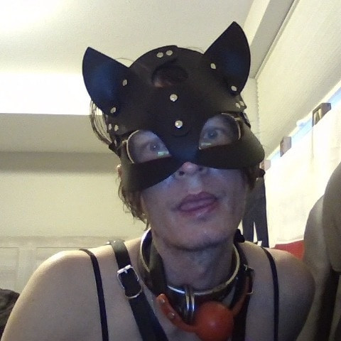 HungBoxer69