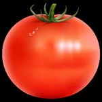 tomotomato