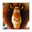 berties