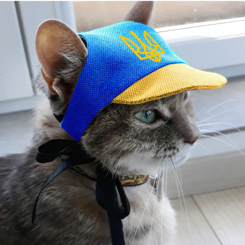 PUDYTAT