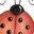 ladybug12345